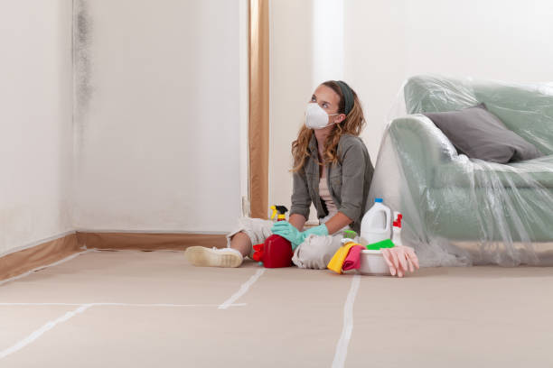 Reliable Mold Inspection contractor in Centre Hall, PA by WQB Mold Removal